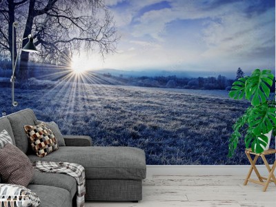 Fototapeta Zimowy poranek ze wschodem słońca