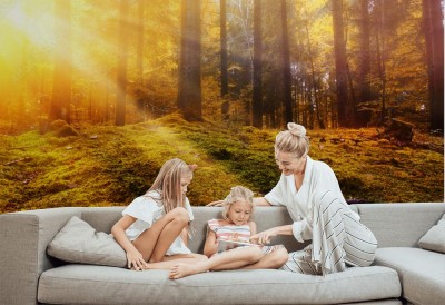 Fototapeta Poranek w lesie jesienna porą