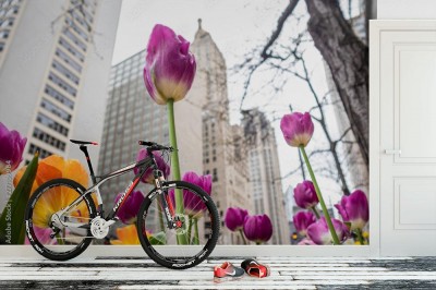 Fototapeta Tulipany na miasta tle