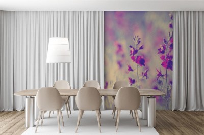 Fototapeta w piękne fioletowe kwiaty