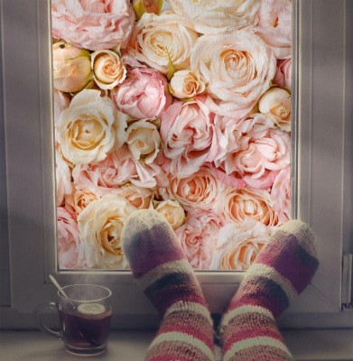 Naklejka na okno łazienkowe Różany dywan z kwiatów Piwonii