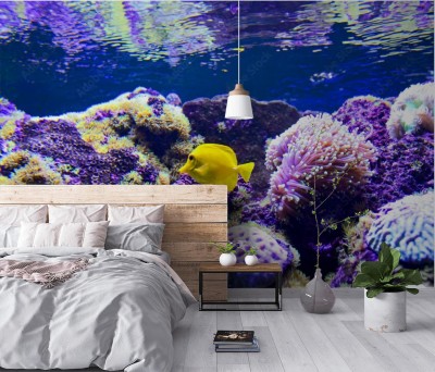 Fototapeta Ocean Indyjski