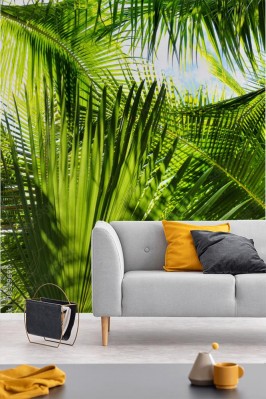 Fototapeta Zielona Dżungla Palmowa