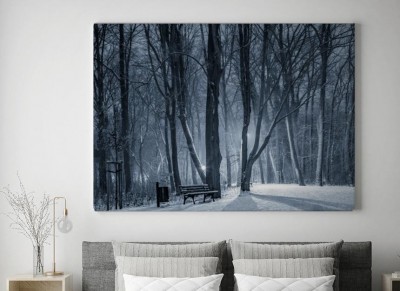 Obrazy do salonu Park zimą w Opolu