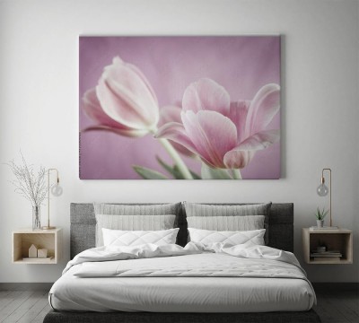 Obrazy do salonu Różowe tulipany