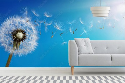 Fototapeta Dmuchawiec pod letnim niebem