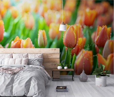 Fototapeta Piękny bukiet tulipanów w charakterze tła