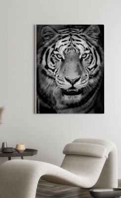 Obraz na płótnie Portret tygrysa