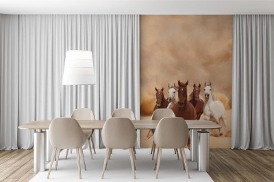 Fototapeta Konie w piasku