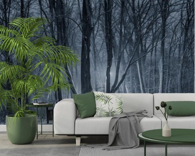 Fototapeta Park zimą w Opolu