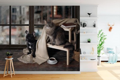 Fototapeta Pies i kot w domowym zaciszu