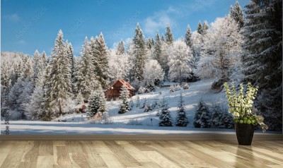 Fototapeta Ukraina, zimowy las w Karpatach