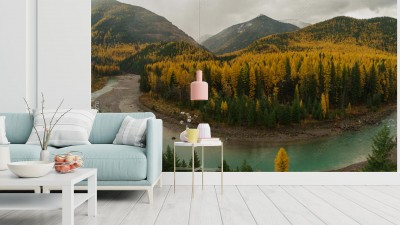 Fototapeta Złota Podkowa Modrzewi