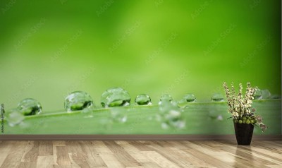 Fototapeta Kropla wody na liściu