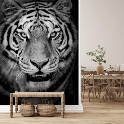 Fototapeta Portret tygrysa