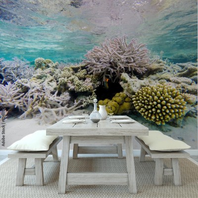 Fototapeta Rafa koralowa