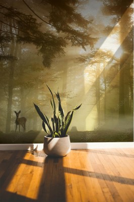 Fototapeta Sarna w lesie