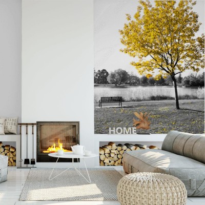 Fototapeta Żółte drzewo nad ławką w parku