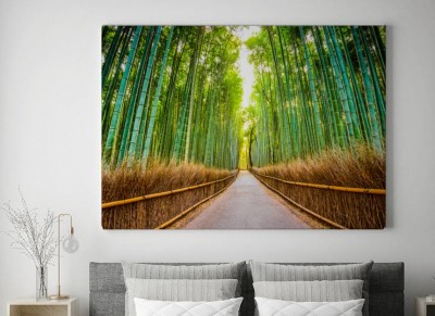 Obraz na płótnie Bambusowy Las w Kioto, Japonia