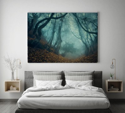 Obrazy do salonu Wędruj przez tajemniczy ciemny stary las we mgle