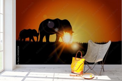 Fototapeta Sylwetki słoni