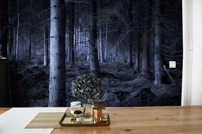 Fototapeta Upiorny las