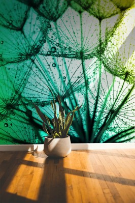 Fototapeta Abstrakcja natury - makro ujęcie dmuchawca 