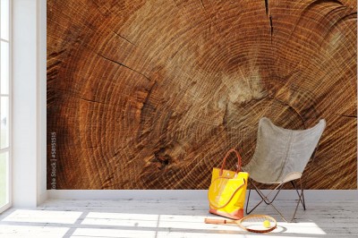 Fototapeta Drewniane tło