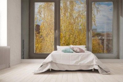 Fototapeta okno z widokiem na drzewa