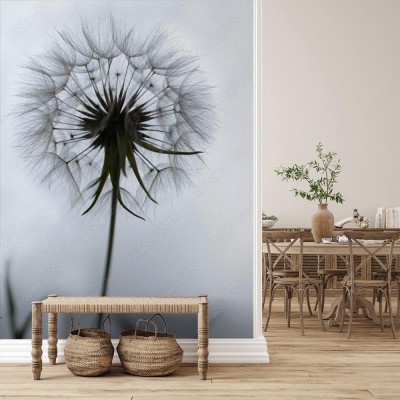 Fototapeta Rozpromieniony dmuchawiec