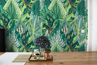 Fototapeta Zielony liść tropikalny