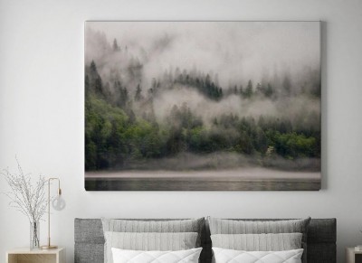 Obraz na płótnie Okryty mgłą las przy ujściu oceanu