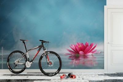 Fototapeta Lilia wodna