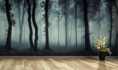 Fototapeta Panorama mrocznego lasu