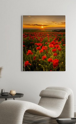 Obrazy do salonu pionowa - Pole maków o zachodzie słońca