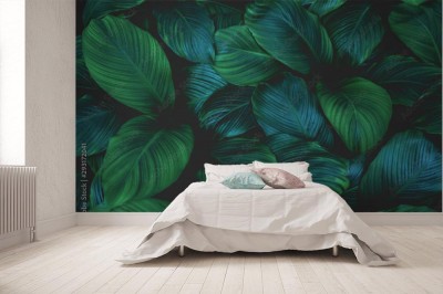 Fototapeta Ciemnozielony wzór liści