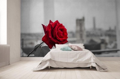 Fototapeta Czerwona róża na tle Paryża z tarasu Centre Pompidou