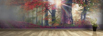 Fototapeta Jesień w alpejskim lesie