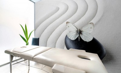 Fototapeta Kamień zen z motylem