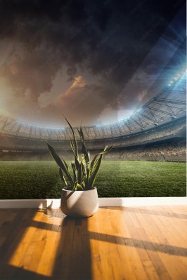 Fototapeta Stadion piłki nożnej z oświetleniem zieloną murawą podczas zachodu słońca