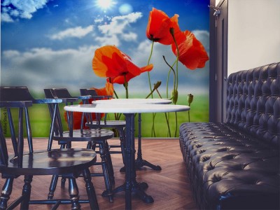 Fototapeta Maki letnią porą