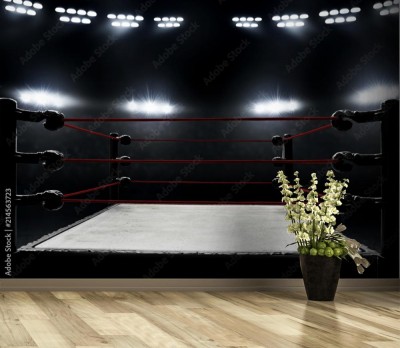 Fototapeta Profesjonalny ring bokserski