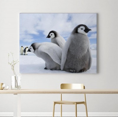 Obraz na płótnie Pingwiny wysiadujące jaja