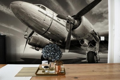 Fototapeta Historyczny samolot na pasie startowym