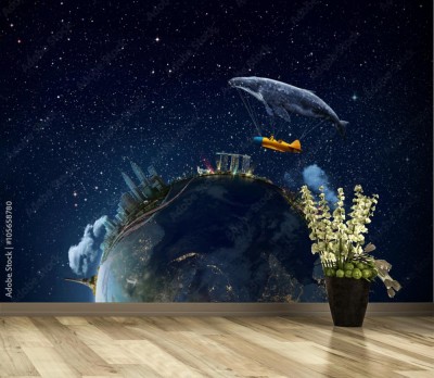 Fototapeta Kosmiczny widok od NASA