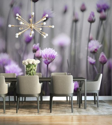 Fototapeta Kwitnący szczypiorek