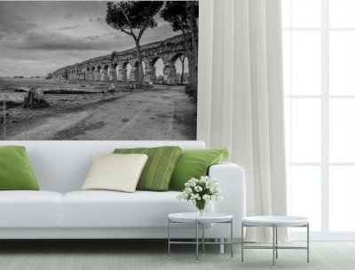 Fototapeta Ruiny w czerni i bieli