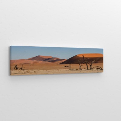 panorama-sossusvlei