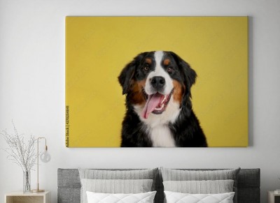 Obraz na płótnie Wesoły pies