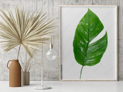 Plakat Liść tropikalnej rośliny